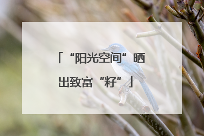 “阳光空间”晒出致富“籽”