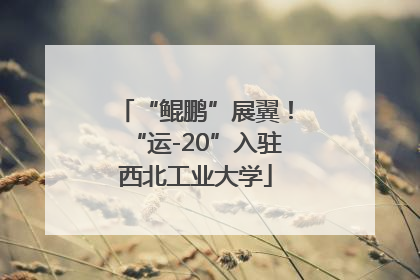 “鲲鹏”展翼！“运-20”入驻西北工业大学