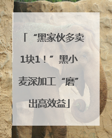 “黑家伙多卖1块1！”黑小麦深加工“磨”出高效益