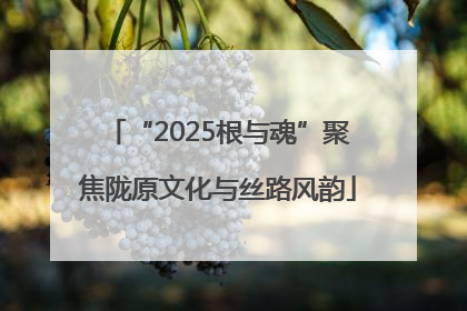 “2025根与魂”聚焦陇原文化与丝路风韵