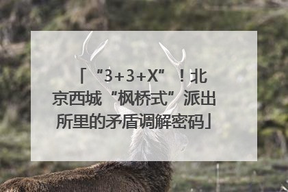 “3+3+X”！北京西城“枫桥式”派出所里的矛盾调解密码