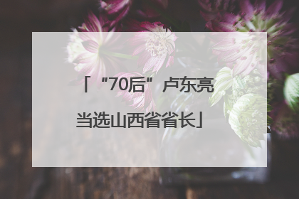 “70后”卢东亮当选山西省省长