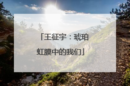 王征宇：琥珀虹膜中的我们