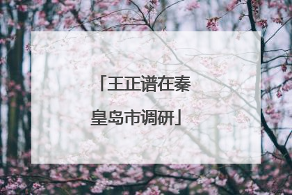 王正谱在秦皇岛市调研