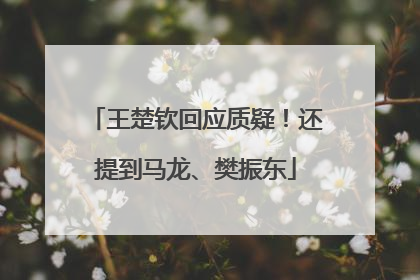 王楚钦回应质疑！还提到马龙、樊振东
