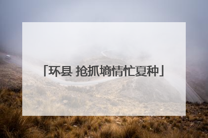 环县 抢抓墒情忙夏种