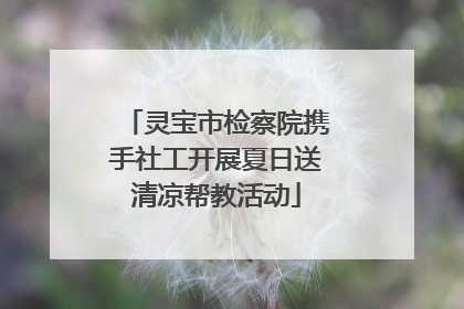 灵宝市检察院携手社工开展夏日送清凉帮教活动