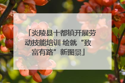 炎陵县十都镇开展劳动技能培训 绘就“致富有路”新图景