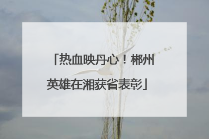 热血映丹心！郴州英雄在湘获省表彰