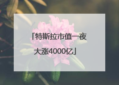 特斯拉市值一夜大涨4000亿