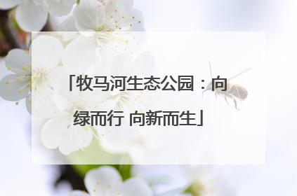牧马河生态公园：向绿而行 向新而生