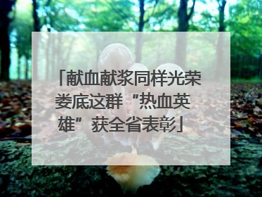 献血献浆同样光荣 娄底这群“热血英雄”获全省表彰