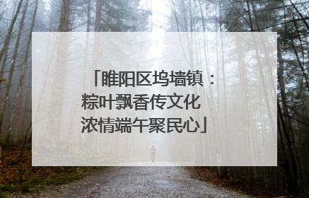 睢阳区坞墙镇：粽叶飘香传文化 浓情端午聚民心