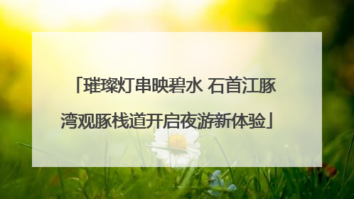 璀璨灯串映碧水 石首江豚湾观豚栈道开启夜游新体验