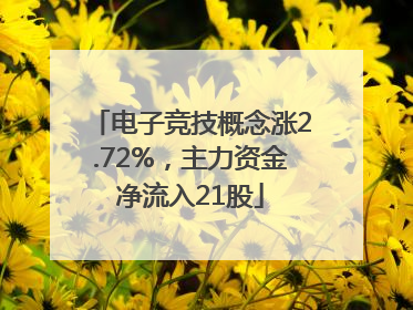 电子竞技概念涨2.72%，主力资金净流入21股