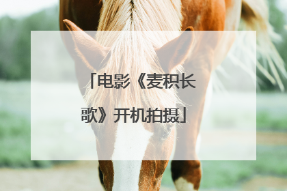 电影《麦积长歌》开机拍摄