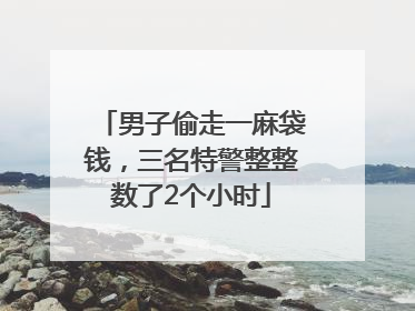 男子偷走一麻袋钱，三名特警整整数了2个小时