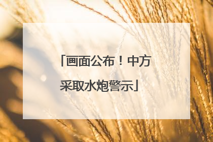画面公布！中方采取水炮警示