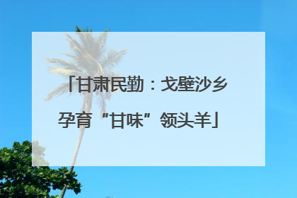甘肃民勤：戈壁沙乡孕育“甘味”领头羊