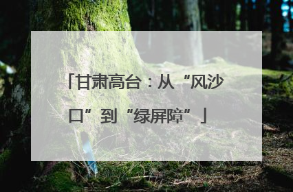 甘肃高台：从“风沙口”到“绿屏障”