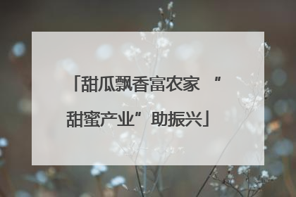甜瓜飘香富农家 “甜蜜产业”助振兴