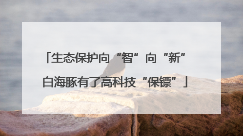 生态保护向“智”向“新” 白海豚有了高科技“保镖”