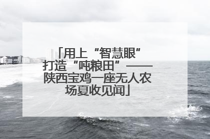 用上“智慧眼” 打造“吨粮田”——陕西宝鸡一座无人农场夏收见闻