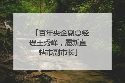 百年央企副总经理王秀峰，履新直辖市副市长