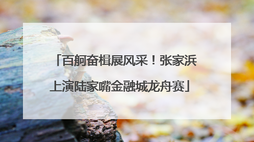百舸奋楫展风采！张家浜上演陆家嘴金融城龙舟赛