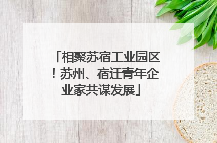 相聚苏宿工业园区！苏州、宿迁青年企业家共谋发展