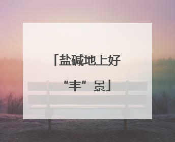 盐碱地上好“丰”景