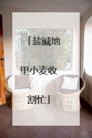 盐碱地里小麦收割忙