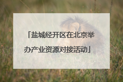 盐城经开区在北京举办产业资源对接活动