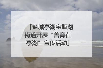 盐城亭湖宝瓶湖街道开展“善育在亭湖”宣传活动
