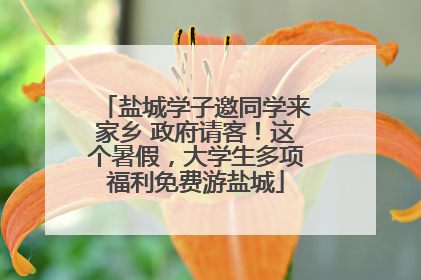 盐城学子邀同学来家乡 政府请客！这个暑假，大学生多项福利免费游盐城