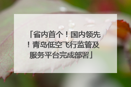 省内首个！国内领先！青岛低空飞行监管及服务平台完成部署