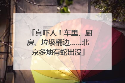 真吓人！车里、厨房、垃圾桶边……北京多地有蛇出没