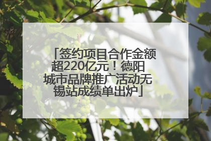 签约项目合作金额超220亿元！德阳城市品牌推广活动无锡站成绩单出炉
