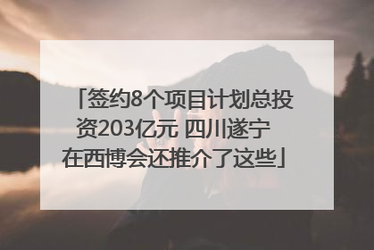签约8个项目计划总投资203亿元 四川遂宁在西博会还推介了这些