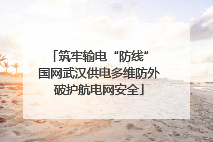 筑牢输电“防线” 国网武汉供电多维防外破护航电网安全