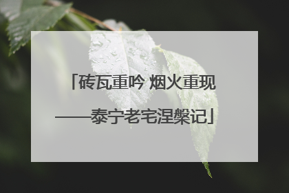 砖瓦重吟 烟火重现——泰宁老宅涅槃记