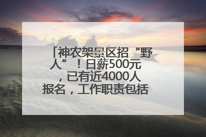 神农架景区招“野人”！日薪500元，已有近4000人报名，工作职责包括“接受游客投喂”