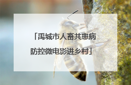 禹城市人畜共患病防控微电影进乡村