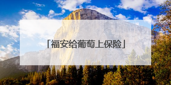 福安给葡萄上保险