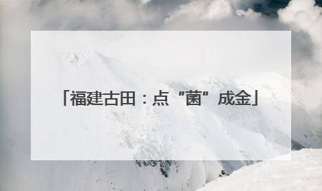 福建古田：点“菌”成金