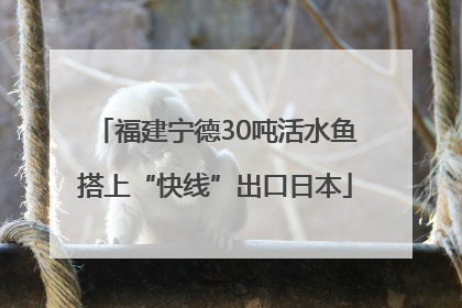 福建宁德30吨活水鱼搭上“快线”出口日本