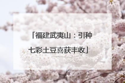 福建武夷山：引种七彩土豆喜获丰收