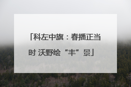 科左中旗：春播正当时 沃野绘“丰”景