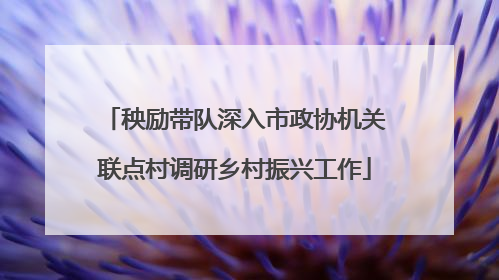 秧励带队深入市政协机关联点村调研乡村振兴工作