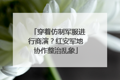 穿着仿制军服进行商演？红安军地协作整治乱象